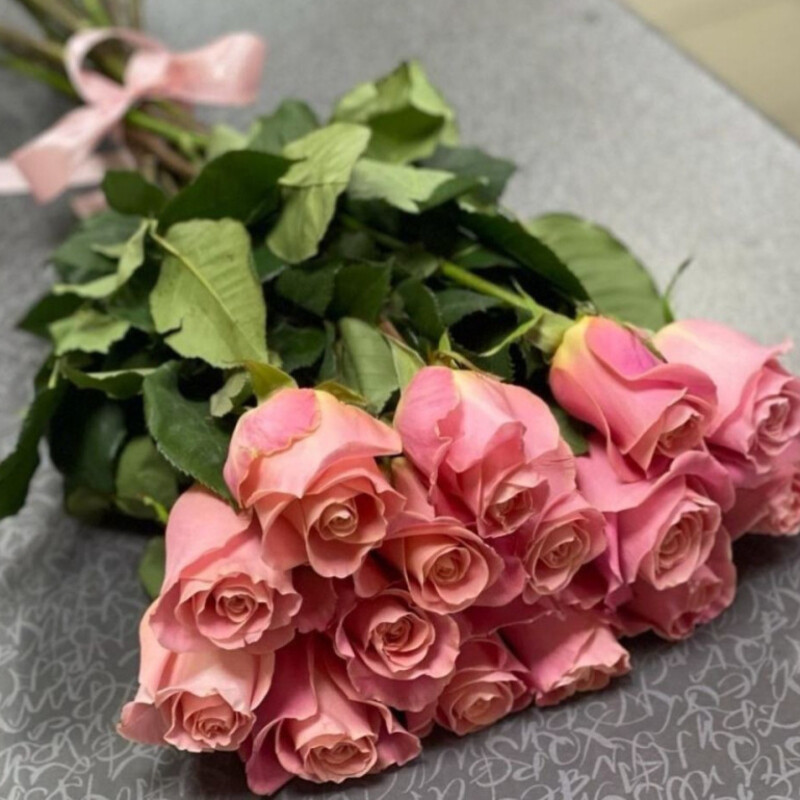 Гермоза(15шт.), стандартный