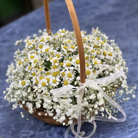 Корзина танацетум с ромашками