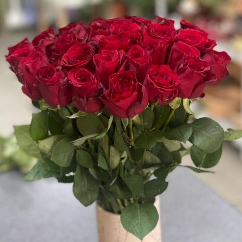 Krasnaya kenijskaya roza, standart