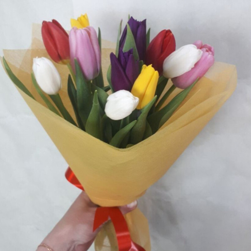 Тюльпан Микс(11шт), тюльпаны