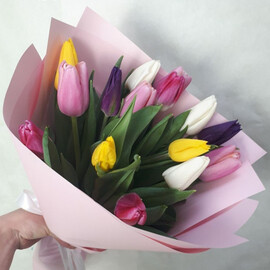 Тюльпан Микс(15шт)