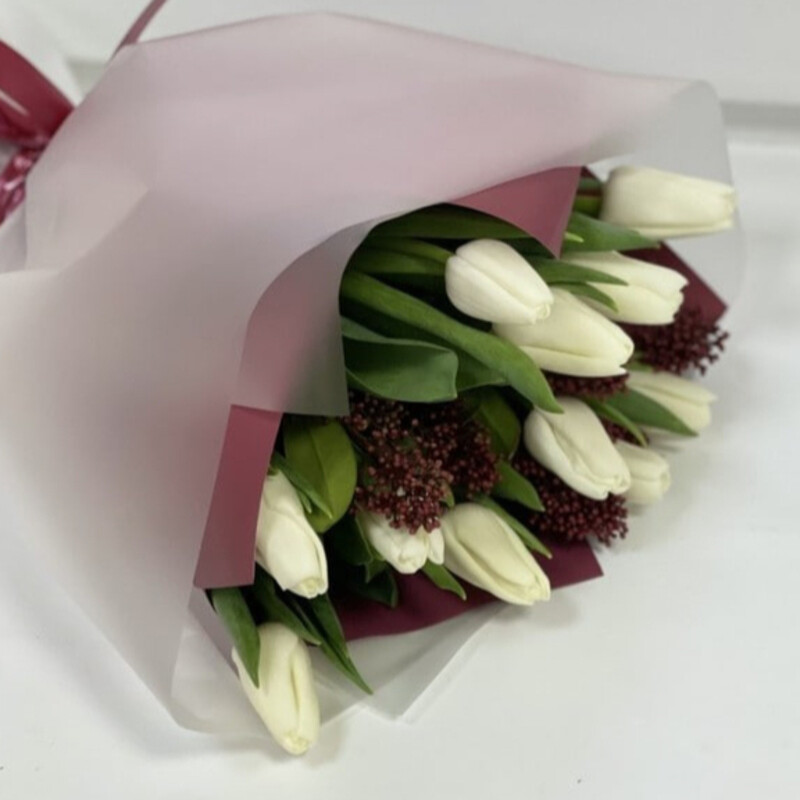 Tyul_pani so skimmiej, standart