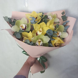 Цимбидиум Микс