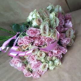 Kustovie Rozi(19sht.)