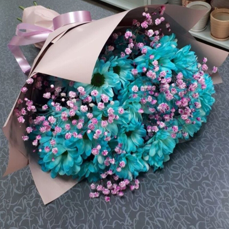 Romashki s gipsofiloj, standart