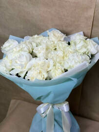 Мондиал Франция(25шт.)