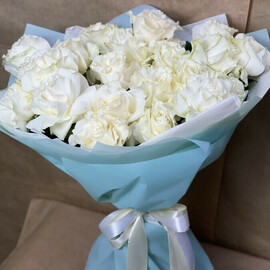 Мондиал Франция(25шт.)