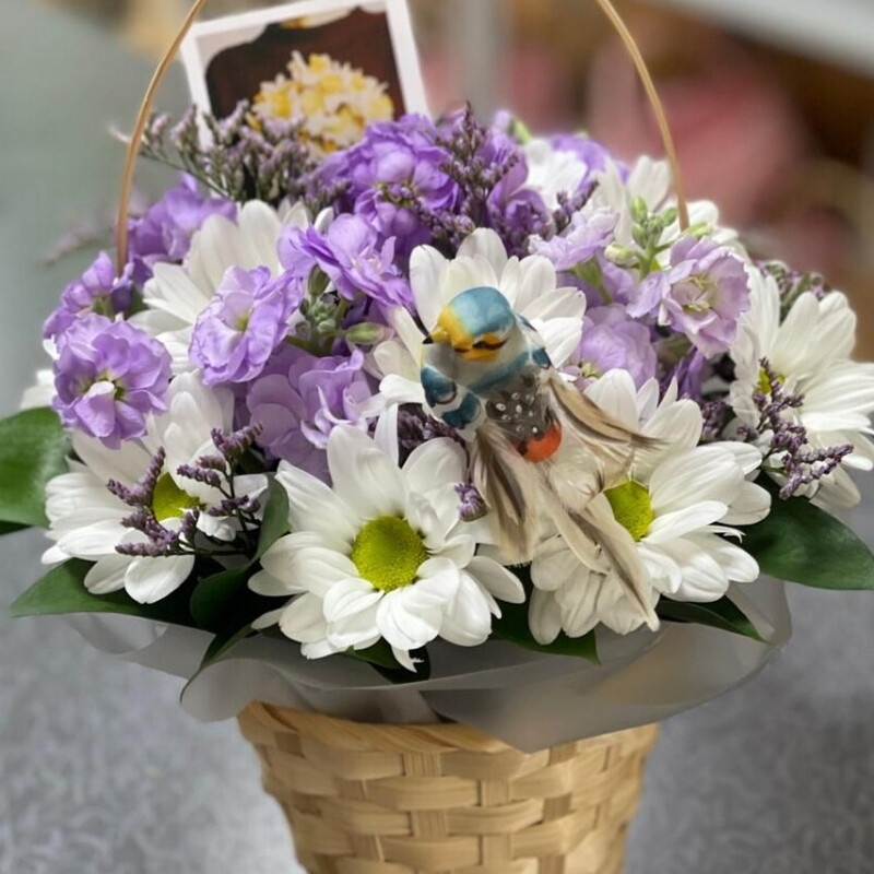 Korzina Hrizantema/Mattiola/Limonium, standart