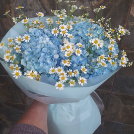 Солнечная улыбка