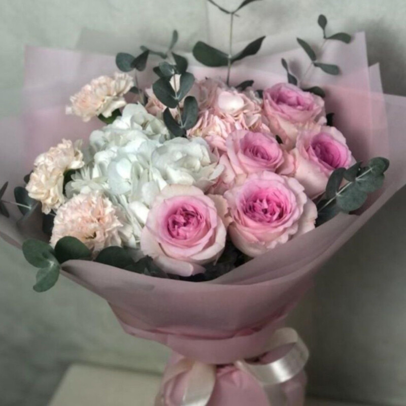 Elegantnaya Ledi, standart