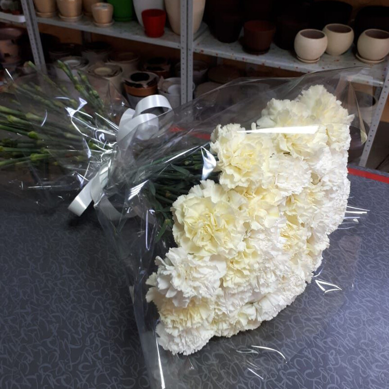 Duet Diantusov, standart