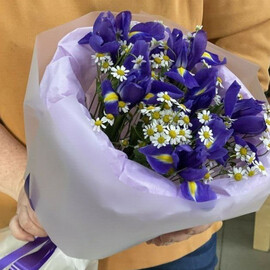 Летнее Поле