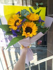 Гелиантус и Статица