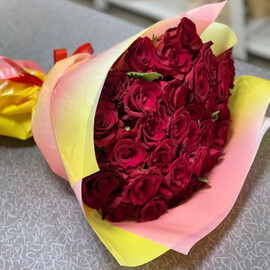 Krasnie rozi(33sht.)