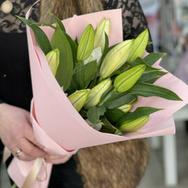 Нежная Лилия