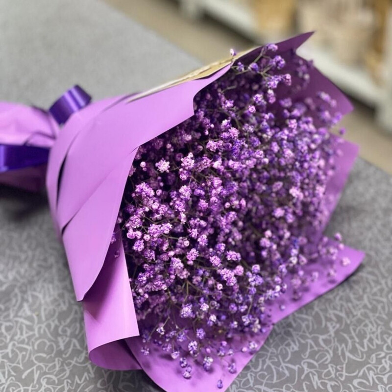 Sirenevaya gipsofila, standart