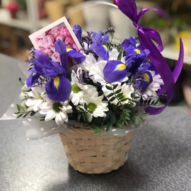 Корзинка хризантема с ирисами