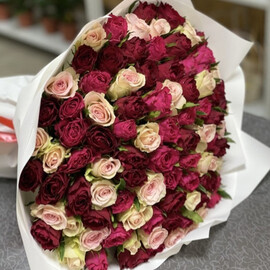 Розы микс 101