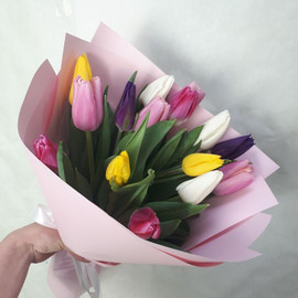 Тюльпан Микс(15шт)