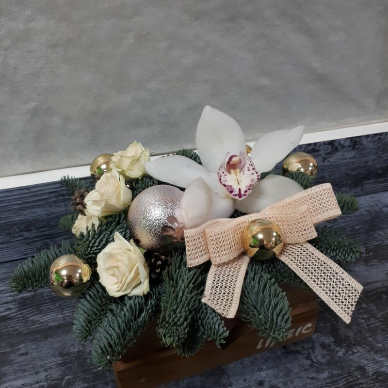 Novogodnij Podarok, standart