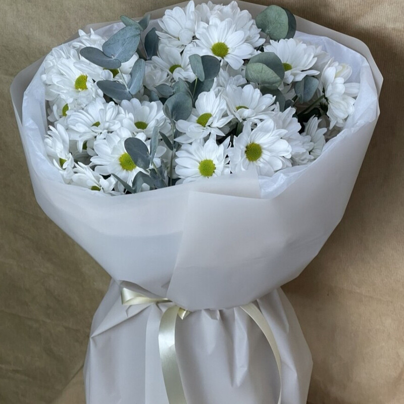 Бакарди/Эвкалипт, стандартный