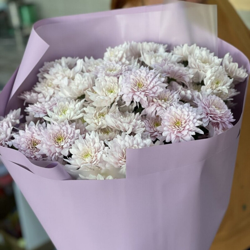 Эффект бабочки, стандартный