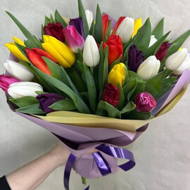 Тюльпан микс(25шт.)