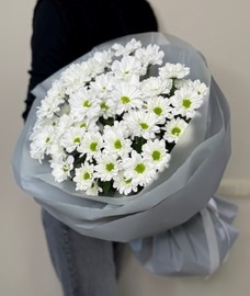 Хризантема ромашковая в серой упаковке