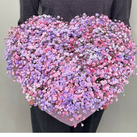 Большое сердце с гипсофилой