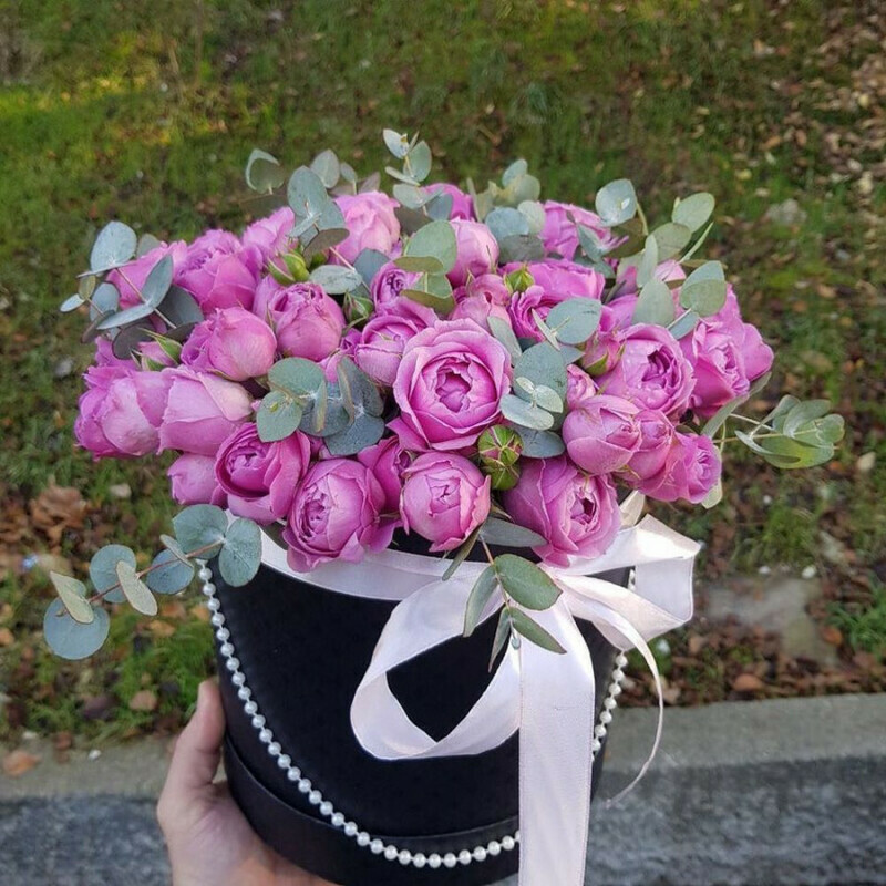 Pink Flamingo, standart