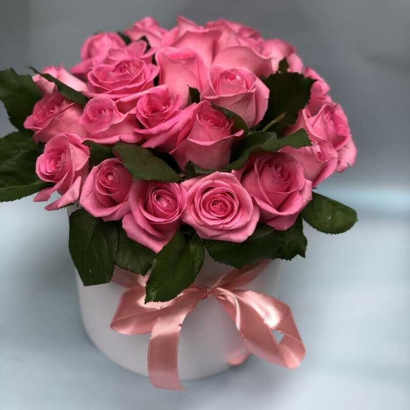 A vivid impression, standart