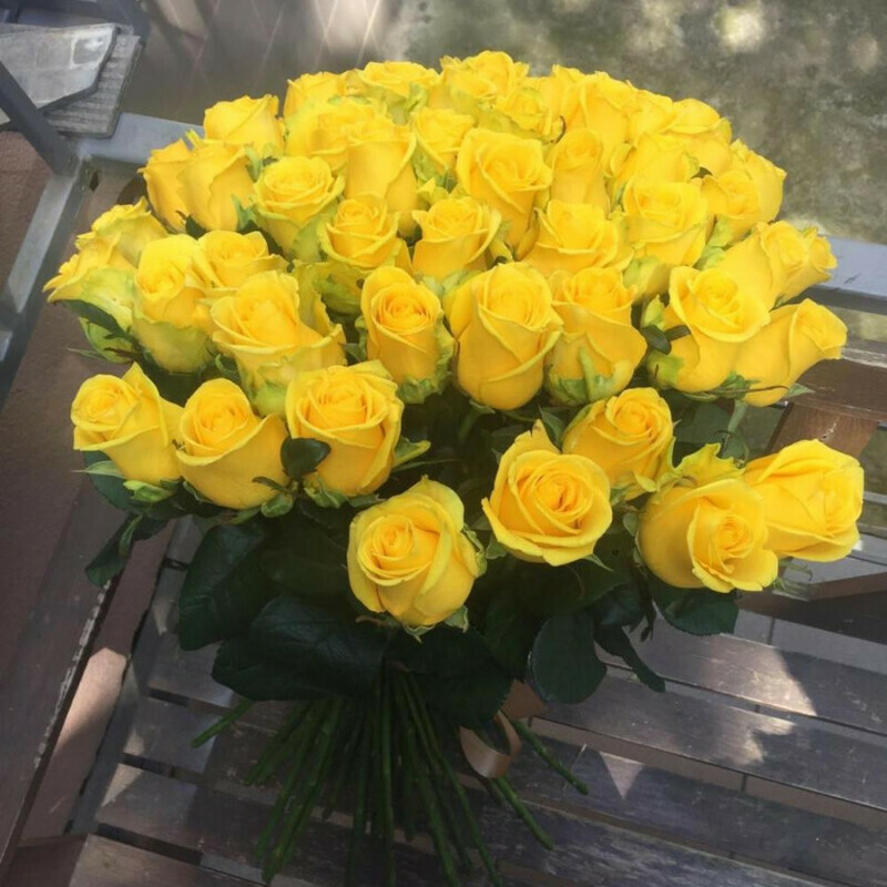 Солнечное утро, стандартный