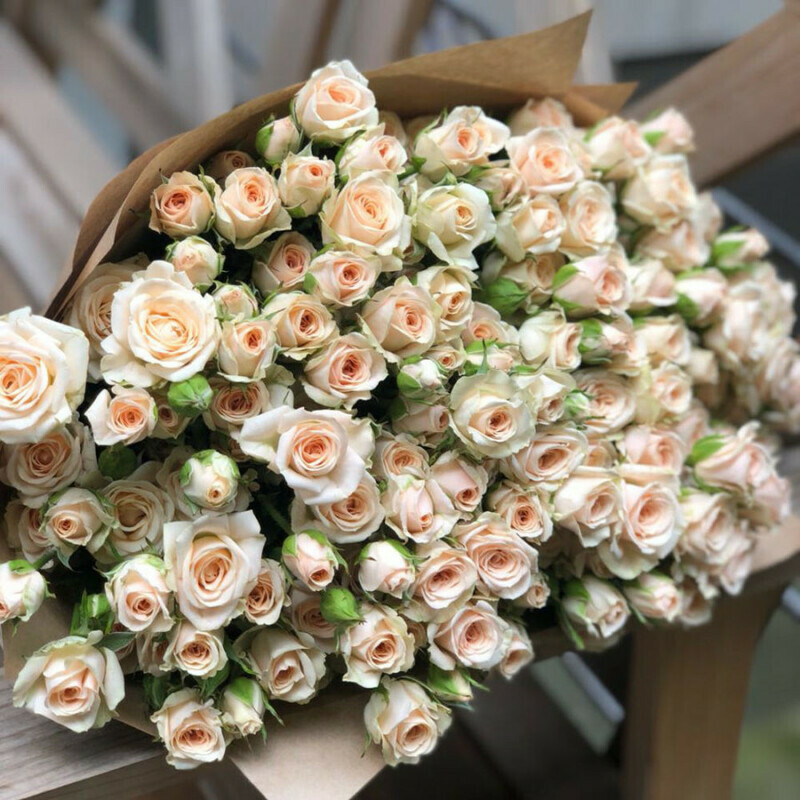 Нежное облако, стандартный