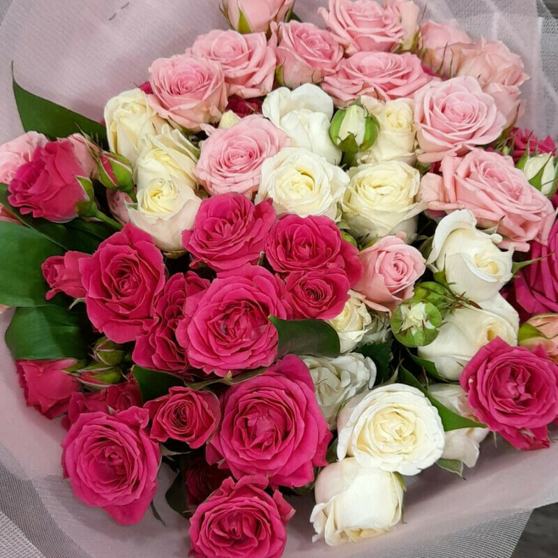 Нежные чувства, стандартный