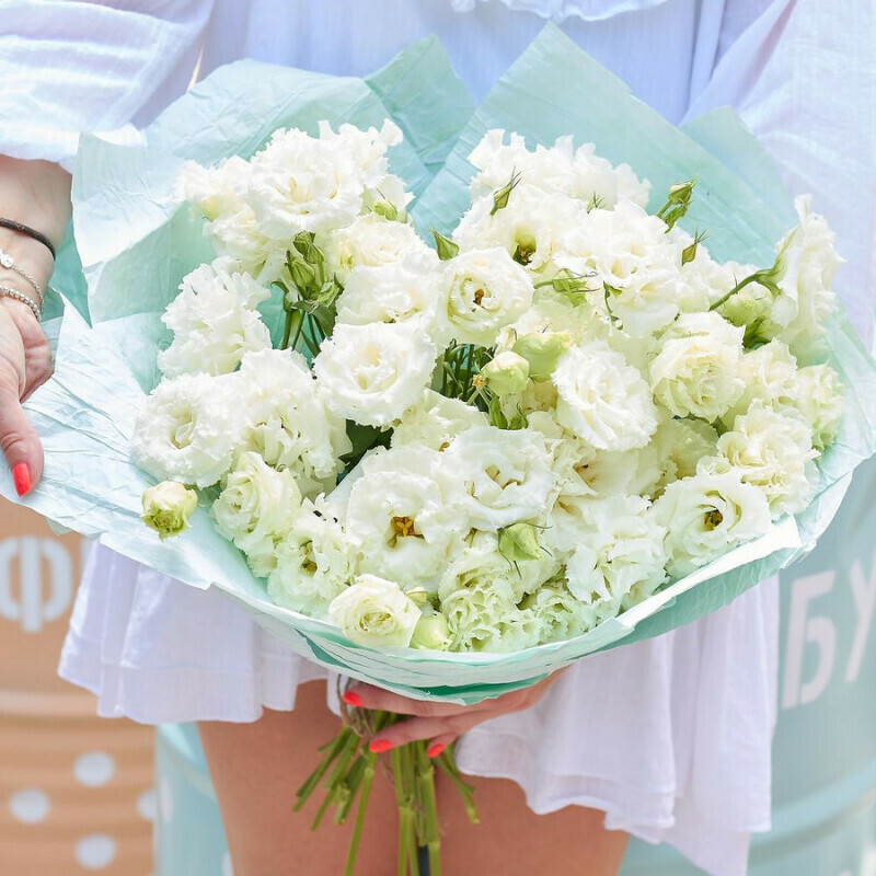 An unforgettable evening, standart