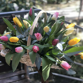 Чудесная Поляна