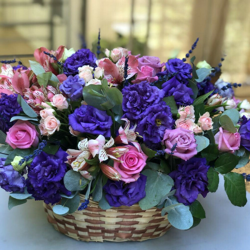 Яркий день, стандартный