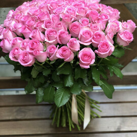 101 pink roses