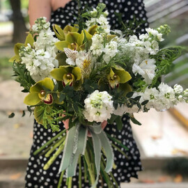 Лесная мечта