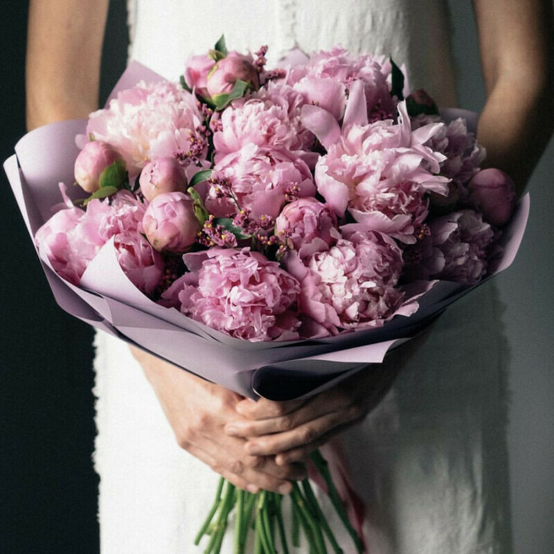 Pink peonies, standart