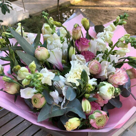 Розовое облако