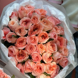 43 пионовидные розы