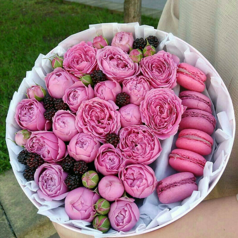 Magic Kiss, standart