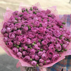 Тұманды көпіршіктердің букеті