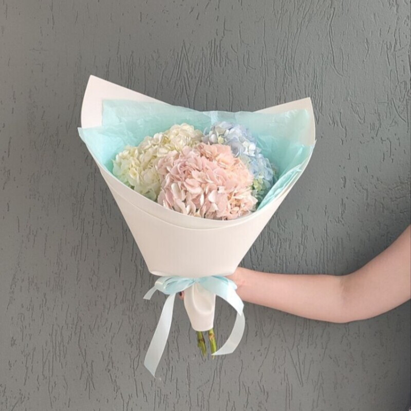 Buket gortenzij, buket gortenzij