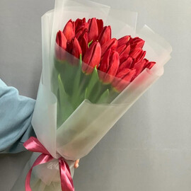 15 красных тюльпанов