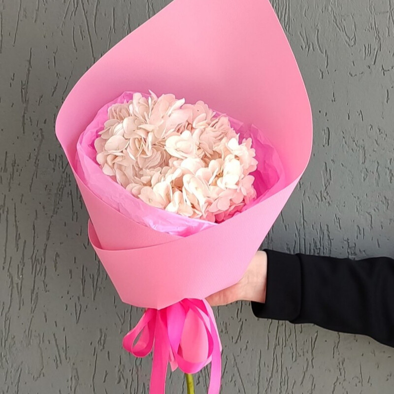 Buket kompliment iz gortenzii, buket kompliment iz gortenzii