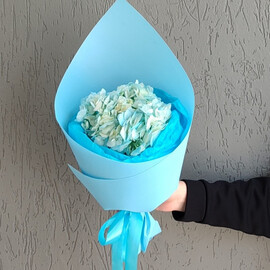 Букет комплимент из гортензии