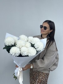 Белые Хризантемы 