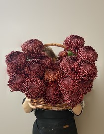 Корзина с хризантемами Бигуди 31 шт